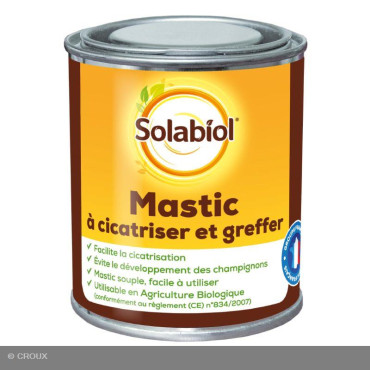 MASTIC à cicatriser et à...