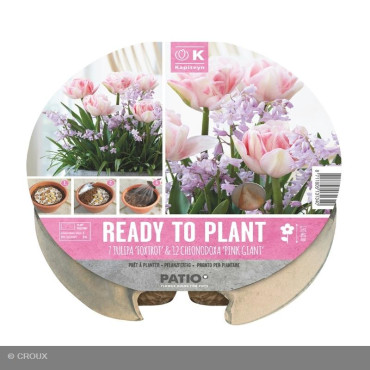 KIT PRÊT A PLANTER TULIPA...