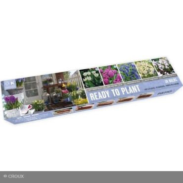 KIT PRÊT A PLANTER Balcon...